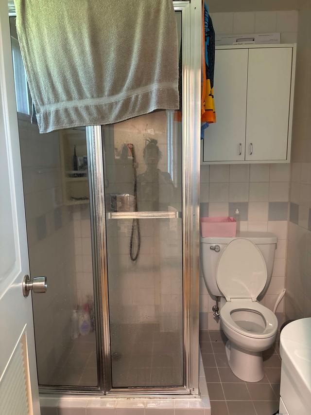Bathroom Remodel: Shower and Cabinet Refurbishment