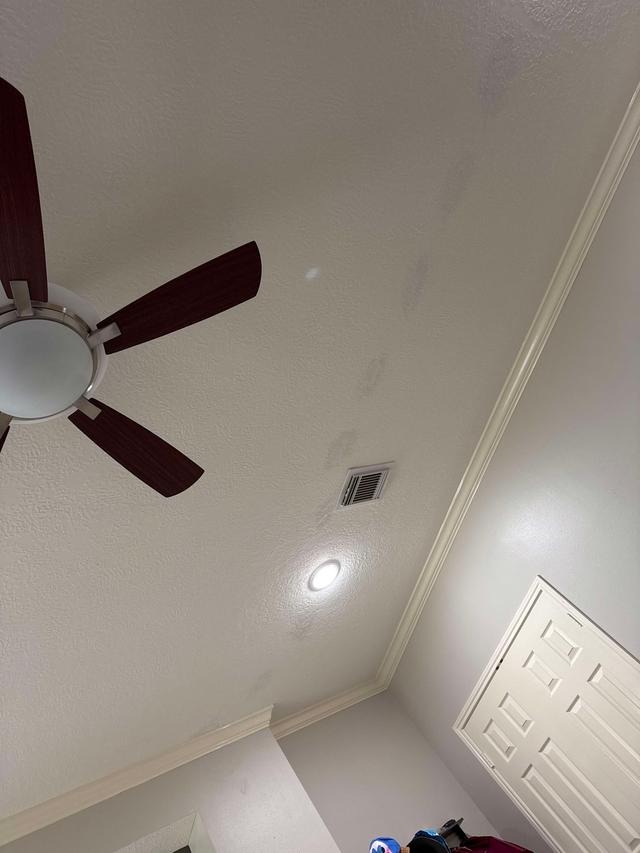 Ceiling and Crown Molding Paint Job